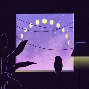 大连歌迪丝sVK视频
