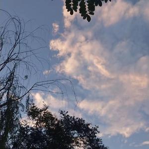 大连歌迪丝sVK视频
