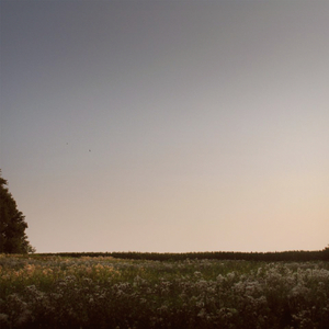 大连歌迪丝sVK视频
